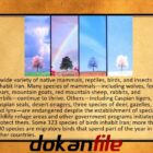 پاورگوینت انگلیسی در مورد ایران