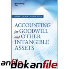 دانلود کتاب Accounting for goodwill and other intangible assets